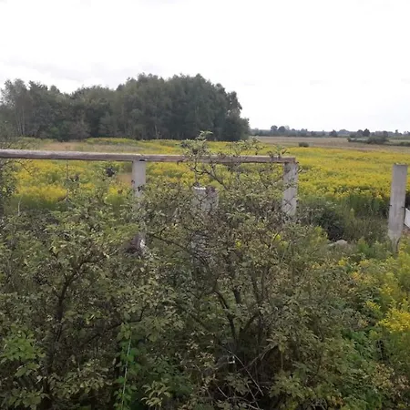 Gospodarstwo Agroturystyczne Na Pasiece *
