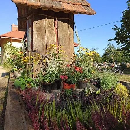 Farm stay Gospodarstwo Agroturystyczne Na Pasiece