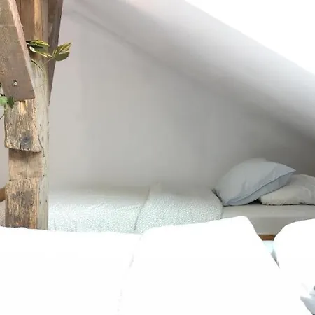 Gospodarstwo Agroturystyczne Na Pasiece Borzecin (Brzesko)